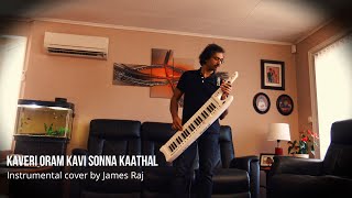 Kaveri Oram Kavi Sonna Kaathal II Instrumental cover by James Raj [upl. by Allisirp]