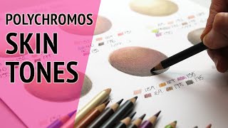 How to Draw Different Skin Tones step by step  Polychromos [upl. by Filbert]