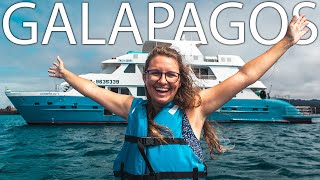 8 Days on a Galapagos Cruise Full Boat Tour  Our Experience [upl. by Bandur330]