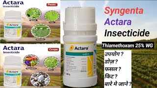 Thiamethoxam 25 WG  Actara Syngenta Systemic Insecticide  agrowithtechnical [upl. by Narf]