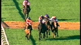 2002 Ritz Club Ascot Chase [upl. by Adyaj]