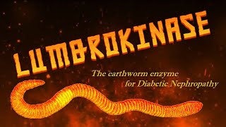 Lumbrokinase The earthworm enzyme for Diabetic Nephropathy [upl. by Althee]