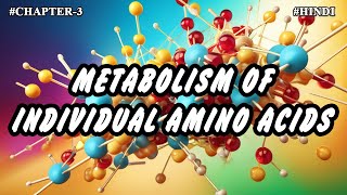 Chapter  3  Metabolism Of Individual Amino Acids Part3  Hindi [upl. by Bernelle]