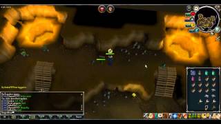 RuneScape Guide How to get Monkey GreeGrees back [upl. by Pogue525]