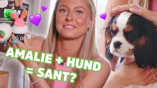 SKAL JEG FÅ MEG NY HUND  AMALIE OLSEN [upl. by Odnanref]