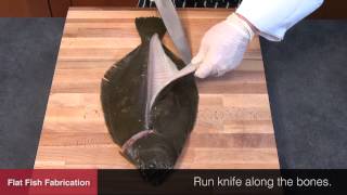 How To Fabricate Flat Fish [upl. by Stanway]