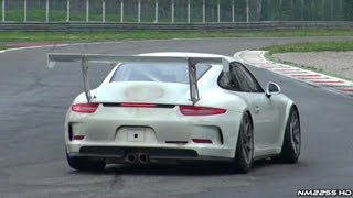 2014 Porsche 991 GT3 CUP in Action on Track [upl. by Forward]