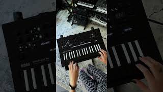 Mini Sound Demo TerrorKeys Preset on minilogue xd Inverted [upl. by Ronaele]