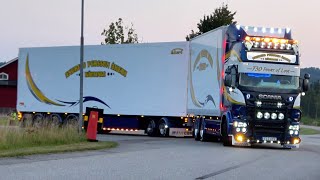 Skane Truckshow 2024 Sweden Part 2 with Scania v8 open Pipes sound and Beautiful Show Trucks [upl. by Iuqcaj]