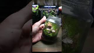 Coffee Jar Into A Terrarium [upl. by Cash]