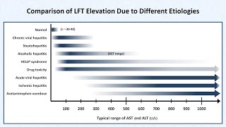 Interpretation of LFTs Liver Function Tests [upl. by Can]