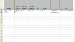 curp en excel rfc con homoclave en excel [upl. by Edward694]