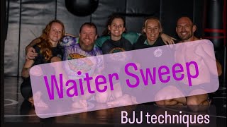 Waiter guard sweep BJJ techniques jiujitsu bjj grappling bjjtechniques [upl. by Ramahs875]