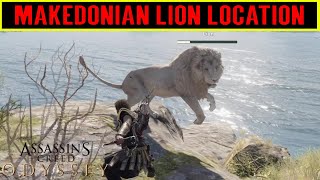 Legacy of the First Blade DLC Makedonian Lion Location  Lone Lion Trophy Guide Makedonian Lion [upl. by Norok646]