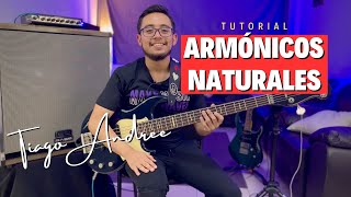 Armónicos Naturales  Tutorial para bajo  Tiago Andree [upl. by Atinat202]