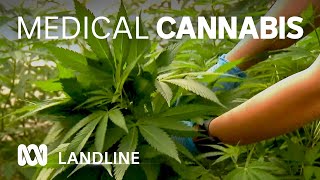 Boom in use of medical cannabis in Australia 🌿⚕  Landline  ABC Australia [upl. by Aldwin]