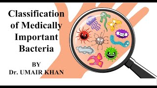 Classification of Medically Important Bacteria by Dr Umair Khan I Bacteriology I Microbiology [upl. by Alahsal]