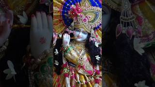 mohe shyam rang man bhaya  short  radhe krishna  yshort [upl. by Ahsiatal]