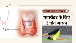 3 yoga asanas for thyroid yoga for Thyroidwhich yoga for Thyroid [upl. by Melia16]