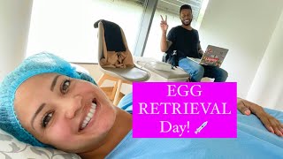 IVF Egg RETRIEVAL [upl. by Aecila]