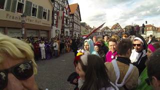 Rosenmontagszug Seligenstadt 2017 [upl. by Feer]