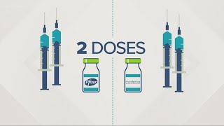 What is the difference between the Pfizer and Moderna vaccines [upl. by Un]