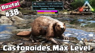 TAME CASTOROIDES MAX LEVEL DI MODE BRUTAL arksurvivalmobile [upl. by Seow880]