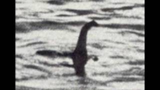 Loch Ness Monster Song Cool King Chris [upl. by Adnav]