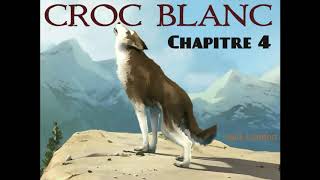 Croc Blanc  Livre Audio 🔈  chapitre 4  La bataille des crocs  Jack London [upl. by Jordison]