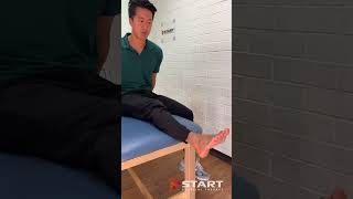 Fibularis longus ankle movement [upl. by Costello401]