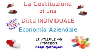 Le scritture in Partita Doppia PD relative alla costituzione di una Ditta Individuale [upl. by Enilaf]