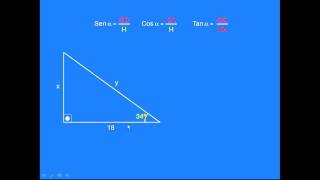 Trigonometria básica seno cosseno basic trigonometry sine cosine and tangent [upl. by Lenroc]