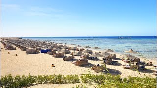 Best Marsa Alam hotels YOUR Top 10 hotels in Marsa Alam Egypt [upl. by Marlena740]