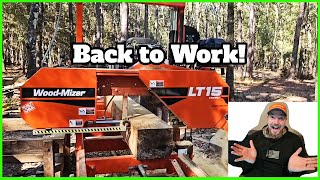 WoodMizer LT15 Sawing 2 logs Time Lapse BEAUTY [upl. by Anoyi]