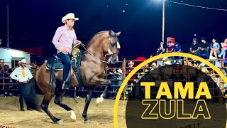 🏆CONCURSO DE CABALLOS BAILADORES EN TAMAZULA DURANGO [upl. by Lothario]