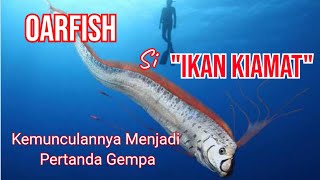 Ikan Oarfish Begini Penjelasan Para Ahli Tentang Ikan Ini [upl. by Aratehs]