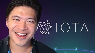 What is IOTA in a Nutshell [upl. by Simmie192]