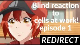 BLIND REACTION TO CELLS AT WORK EPISODE 1 [upl. by Anitan]