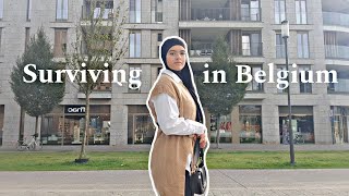 رحلة البحث عن عمل في بلجيكا 👩🏻‍💻 surviving in Belgium [upl. by Arriek]