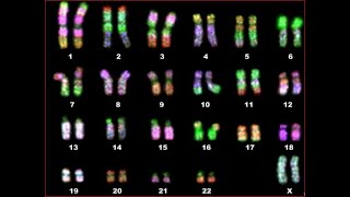 Test 1 preparation video NST21ES W [upl. by Petrie]