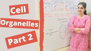 Cell Organelle and Functions  Prokaryotic Vs Eukaryotic Cells  Cell Class 9 10 ICSE CBSE Biology [upl. by Pejsach]