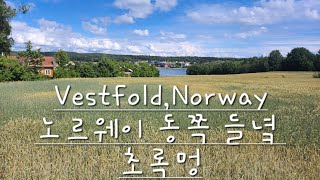 Vestfold Norway 노르웨이 동쪽 들녘 초록멍 [upl. by Persas]