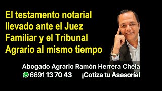 El testamento notarial llevado ante el Juez Familiar y el Tribunal Agrario al mismo tiempo [upl. by Eiramana302]