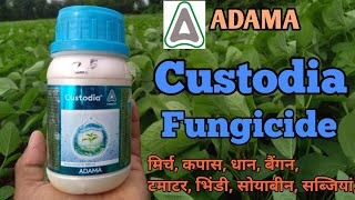 Custodia fungicide  adama  azoxystrobin 11  tebuconazole 183ww Sc [upl. by Zuliram]