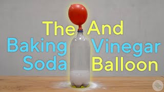 Baking Soda  Vinegar Balloon Experiment [upl. by Aroz]