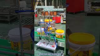 Automatic Gallon Bucket Lid Capping Machine [upl. by Bord]