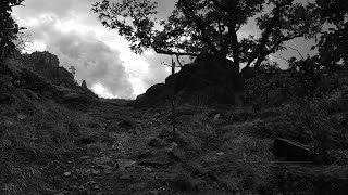 Wanderung durch das Bodetal und das Steinbachtal bei Thale [upl. by Ecadnak]