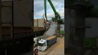 unloading cargo ship with excavator ship excavator shortsvideo trending shorts short [upl. by Suehtomit]