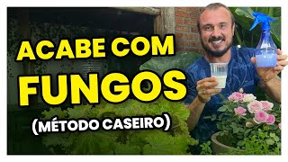 Utilize LEITE e acabe com FUNGOS nas plantas  Fungicida caseiro [upl. by Jr223]