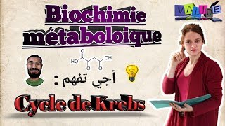 Biochimie métabolique partie des glucides Cycle de Krebs SVI S4en arabe [upl. by Elke]